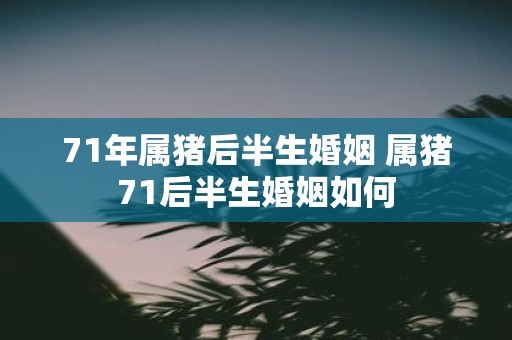 71年属猪后半生婚姻 属猪71后半生婚姻如何