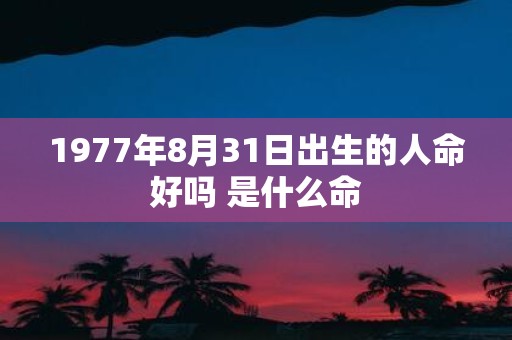 1977年8月31日出生的人命好吗 是什么命