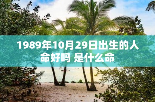 1989年10月29日出生的人命好吗 是什么命