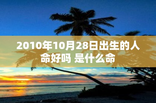 2010年10月28日出生的人命好吗 是什么命