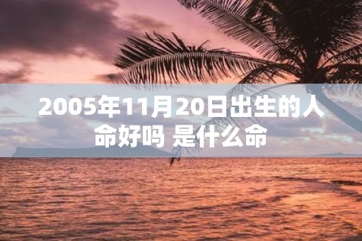 2005年11月20日出生的人命好吗 是什么命