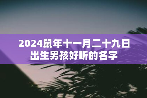 2025鼠年十一月二十九日出生男孩好听的名字