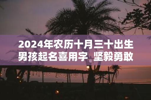 2025年农历十月三十出生男孩起名喜用字 坚毅勇敢的名字