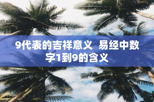 9代表的吉祥意义 易经中数字1到9的含义
