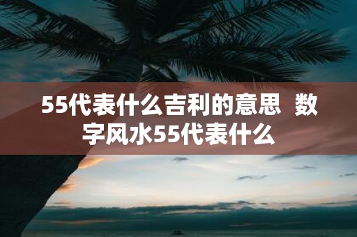 55代表什么吉利的意思 数字风水55代表什么