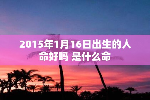 2015年1月16日出生的人命好吗 是什么命