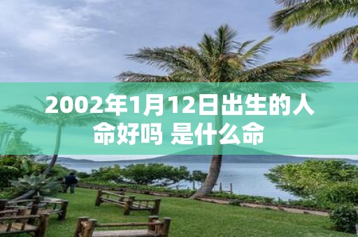 2002年1月12日出生的人命好吗 是什么命