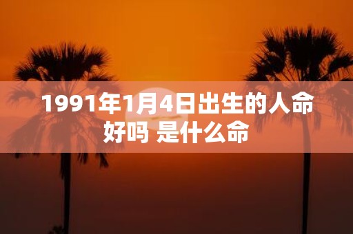 1991年1月4日出生的人命好吗 是什么命