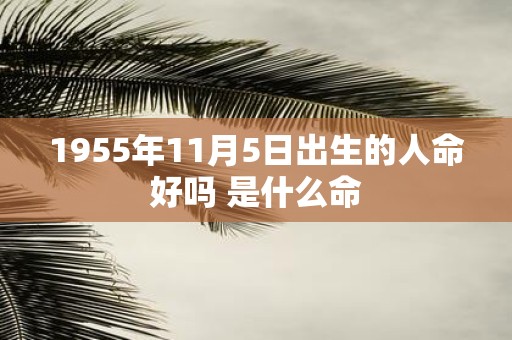 1955年11月5日出生的人命好吗 是什么命