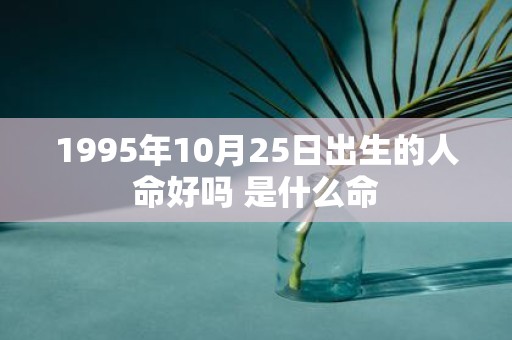1995年10月25日出生的人命好吗 是什么命