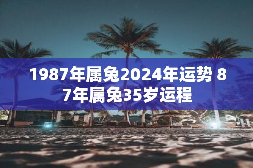1987年属兔2025年运势 87年属兔35岁运程