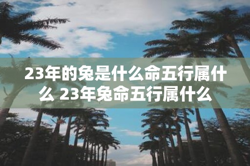 23年的兔是什么命五行属什么 23年兔命五行属什么