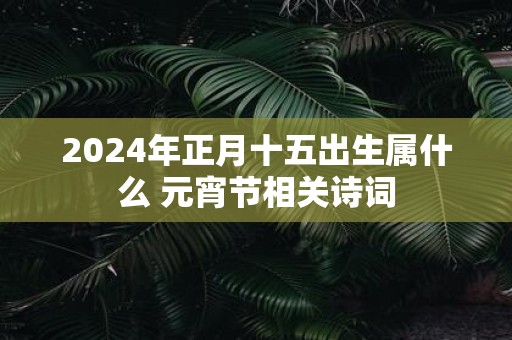 2025年正月十五出生属什么 元宵节相关诗词