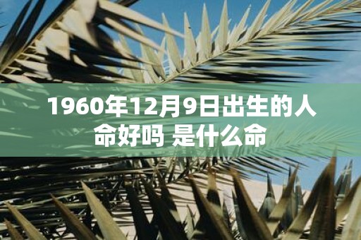 1960年12月9日出生的人命好吗 是什么命