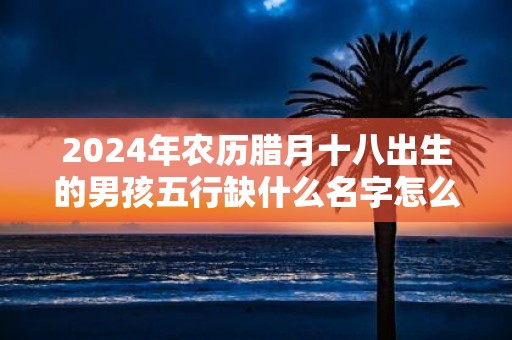 2025年农历腊月十八出生的男孩五行缺什么名字怎么起吉利