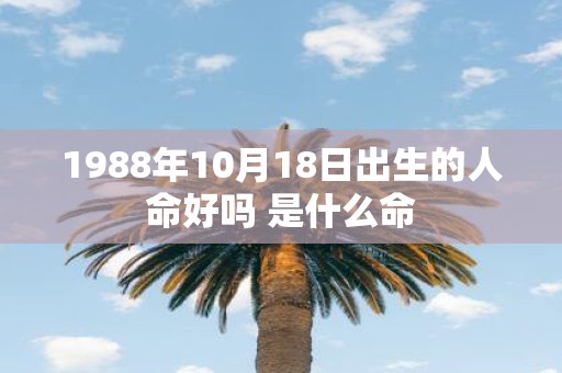 1988年10月18日出生的人命好吗 是什么命