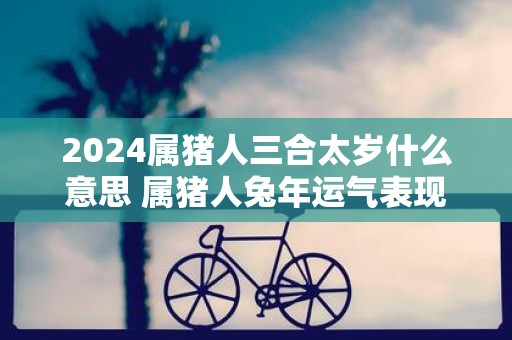 2025属猪人三合太岁什么意思 属猪人蛇年运气表现怎样