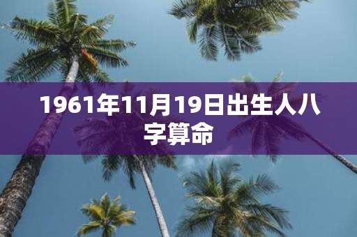 1961年11月19日出生人八字算命