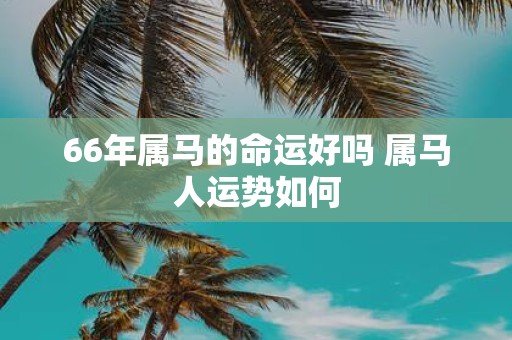 66年属马的命运好吗 属马人运势如何