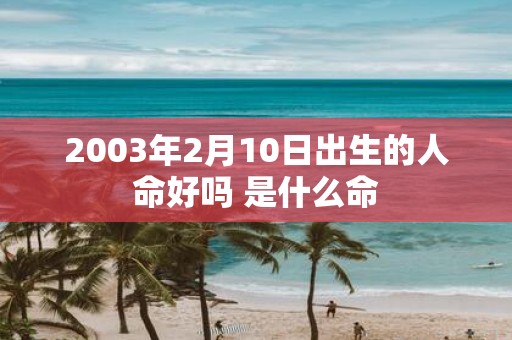 2003年2月10日出生的人命好吗 是什么命