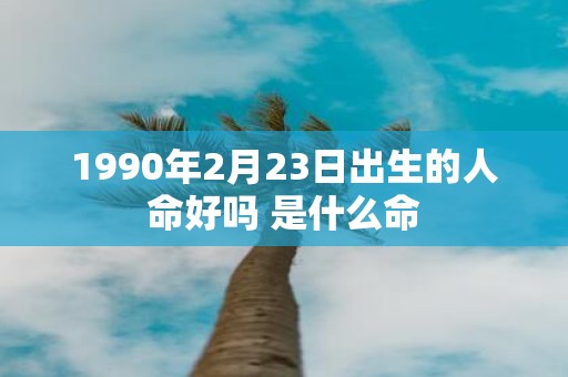 1990年2月23日出生的人命好吗 是什么命