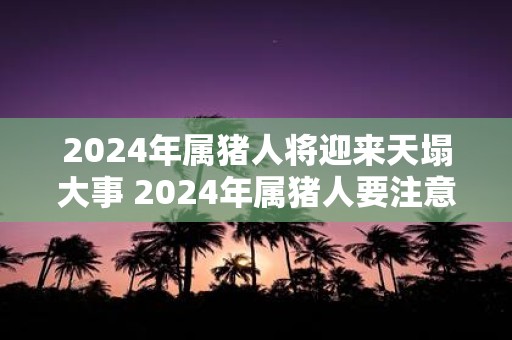 2025年属猪人将迎来天塌大事 2025年属猪人要注意什么