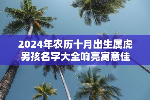 2025年农历十月出生属虎男孩名字大全响亮寓意佳