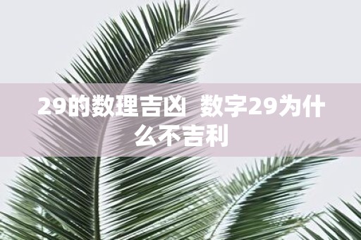 29的数理吉凶 数字29为什么不吉利