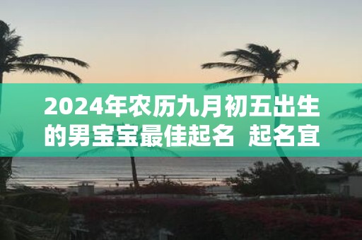 2025年农历九月初五出生的男宝宝最佳起名 起名宜用字