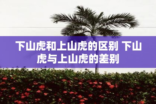 下山虎和上山虎的区别 下山虎与上山虎的差别