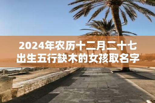 2025年农历十二月二十七出生五行缺木的女孩取名字