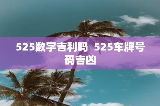 525数字吉利吗 525车牌号码吉凶