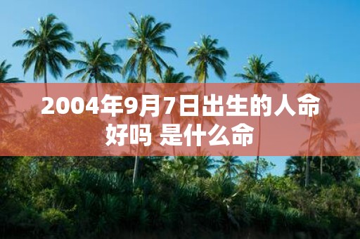 2004年9月7日出生的人命好吗 是什么命