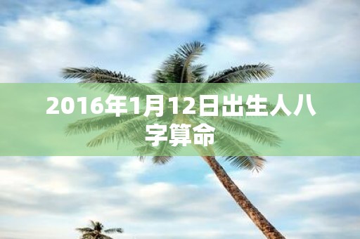 2016年1月12日出生人八字算命