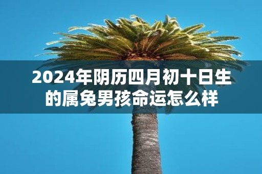 2025年阴历四月初十日生的属兔男孩命运怎么样
