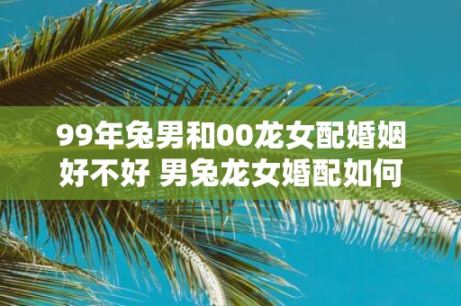 99年兔男和00龙女配婚姻好不好 男兔龙女婚配如何