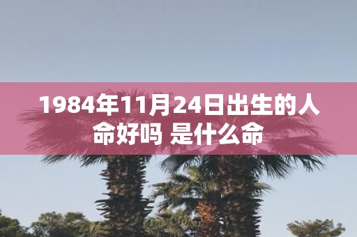 1984年11月24日出生的人命好吗 是什么命