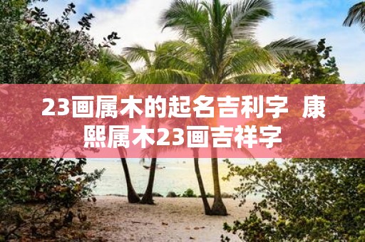 23画属木的起名吉利字 康熙属木23画吉祥字