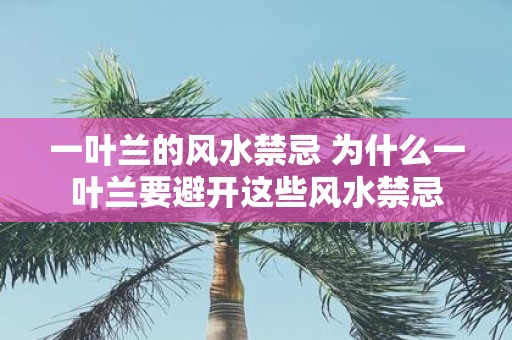 一叶兰的风水禁忌 为什么一叶兰要避开这些风水禁忌