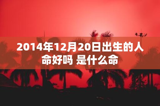 2014年12月20日出生的人命好吗 是什么命