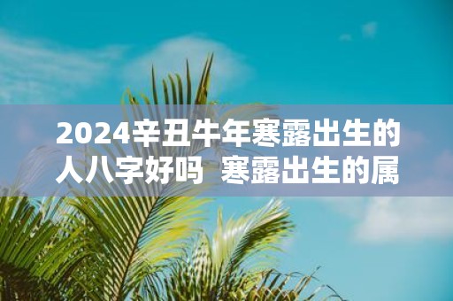 2025辛丑牛年寒露出生的人八字好吗 寒露出生的属牛人命运怎么样