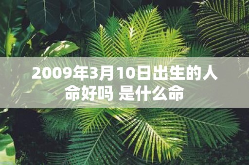 2009年3月10日出生的人命好吗 是什么命