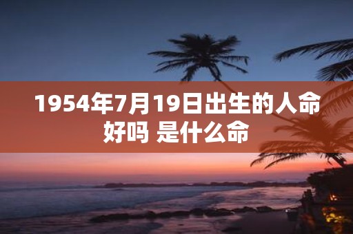 1954年7月19日出生的人命好吗 是什么命