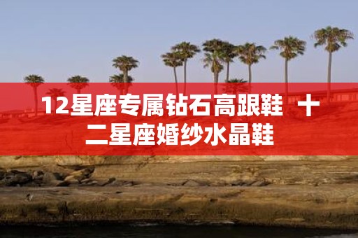 12星座专属钻石高跟鞋 十二星座婚纱水晶鞋