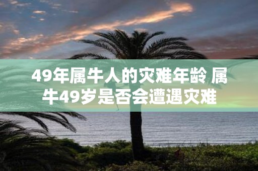 49年属牛人的灾难年龄 属牛49岁是否会遭遇灾难