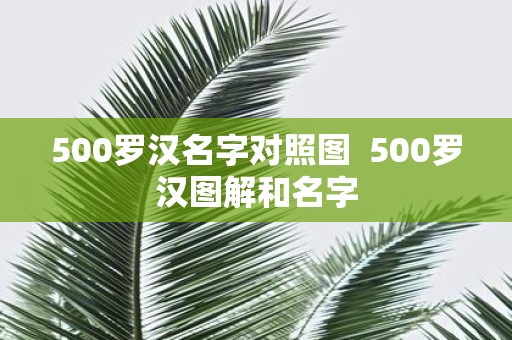 500罗汉名字对照图 500罗汉图解和名字