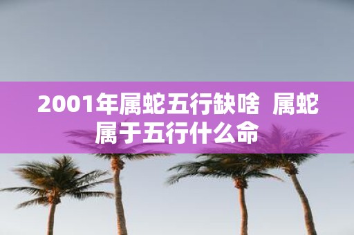 2001年属蛇五行缺啥 属蛇属于五行什么命
