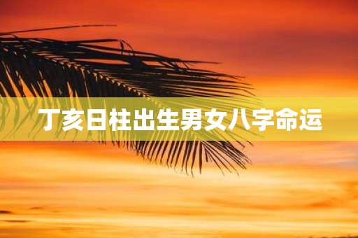 丁亥日柱出生男女八字命运