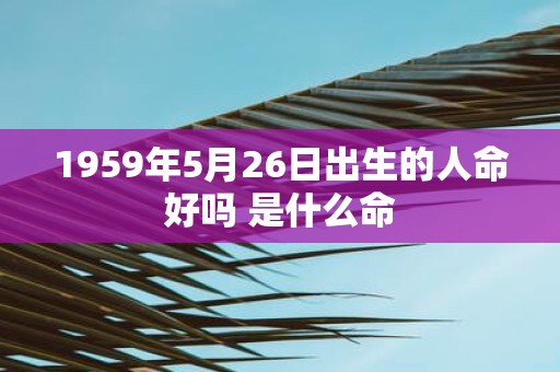 1959年5月26日出生的人命好吗 是什么命