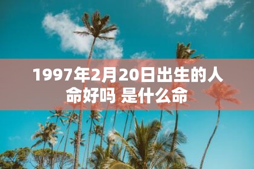 1997年2月20日出生的人命好吗 是什么命